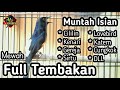 MASTERAN MURAI BATU FULL ISIAN TEMBAKAN CILILIN KENARI GEREJA LOVEBIRD KAPAS TEMBAK CUNGKOK DLL