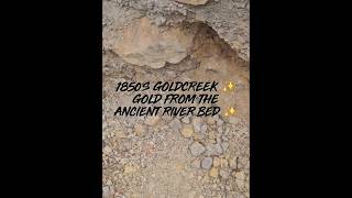1850's Goldcreek ✨️ Gold from the Ancient River Bed ✨️ #goldfields