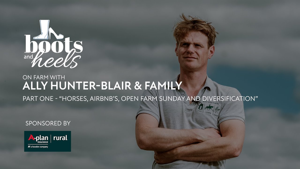 Boots and Heels Ally Hunter Blair Horses AirBNBs Open Farm Sunday  Diversification