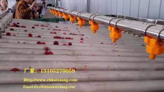 the best cherry grading machine/fruit weight grading machine/fruit grader