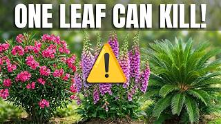 7 MOST DANGEROUS PLANTS YOU Should Never Buy from Nurseries ( Plus Safer alternatives to Grow)