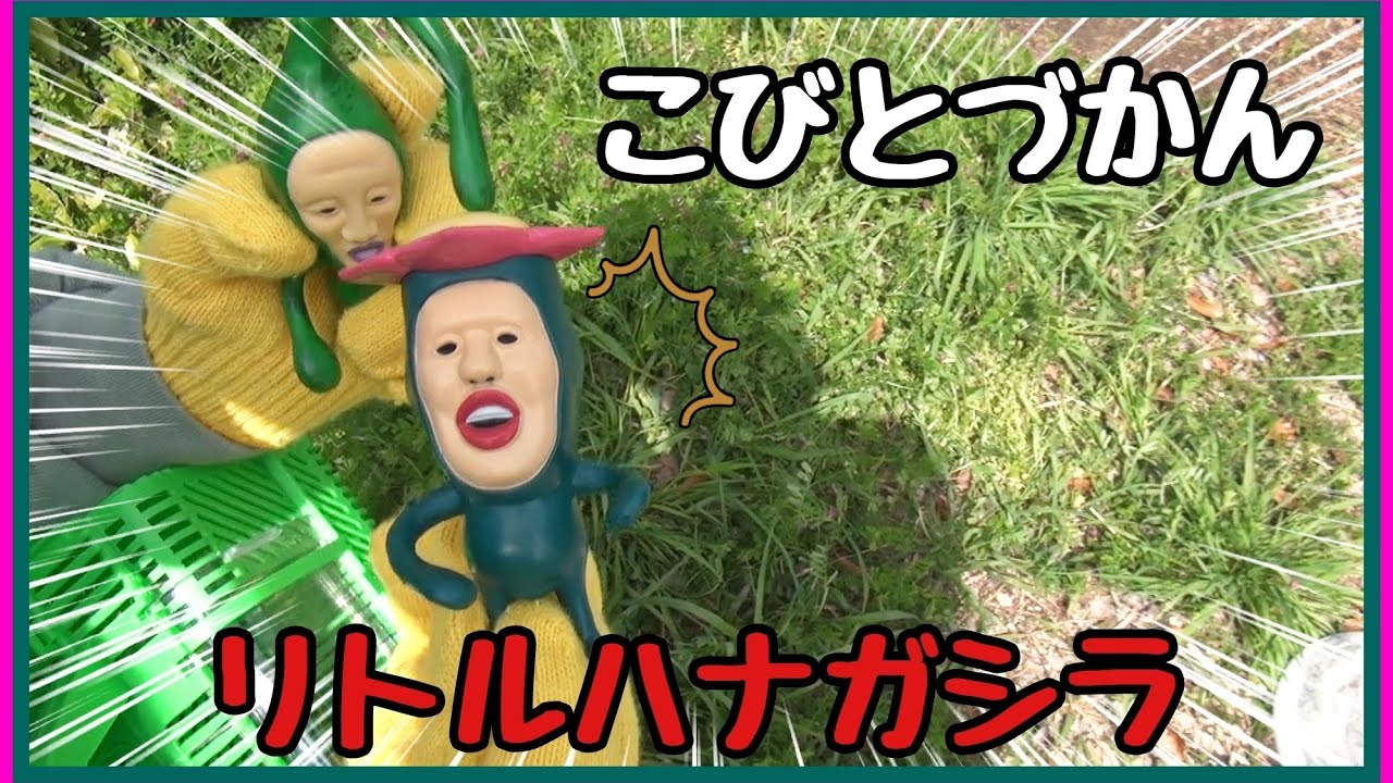 ♡こびとずかん♡手作りコスチューム♡リトルハナガシラ全身タイツ 