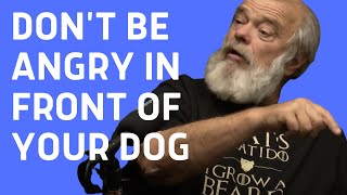 Don't Be Angry In Front Of Your Personal Protection Dog