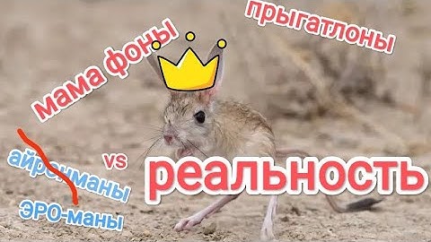 Правда о марафон-ах, триатлон-ах и айромэн-а и реальность🤣🤣🤣