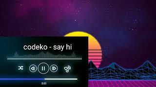 Download Lagu codeko - say hi MP3