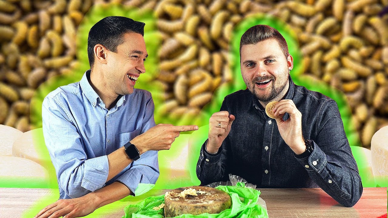 Сыр с живыми личинками / Касу Марцу - контрабанда из Сардинии - YouTube