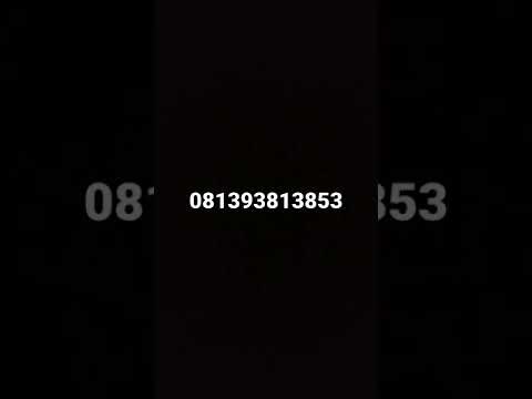 Video: Berapa nomor telepon asli jake paul?