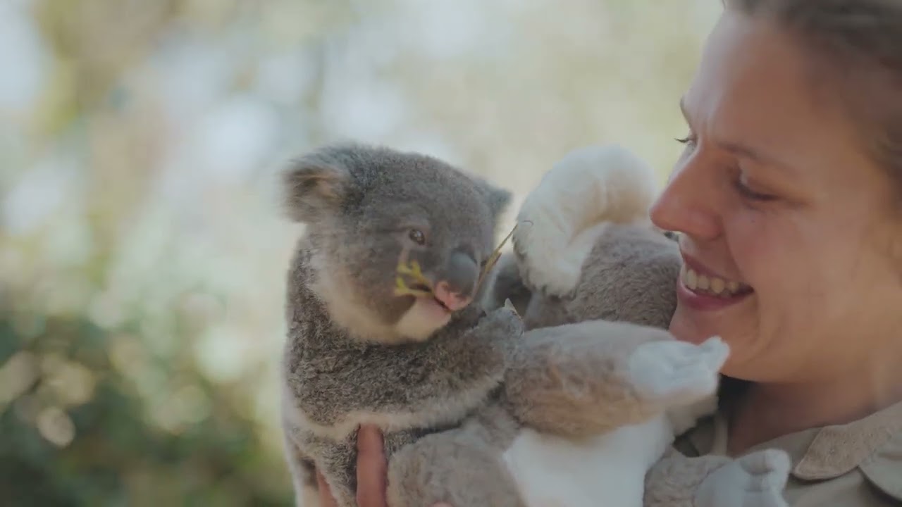 Elegant Baby Boy's Joey Koala Toy - Blue One-Size