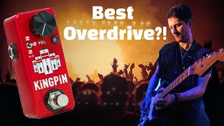 The BEST Overdrive You've NEVER Heard of? - CopperSound Kingpin Demo/Review