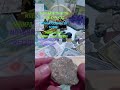 MOEDAS, CÉDULAS, GARIMPO, PEDRAS PRECIOSAS,..