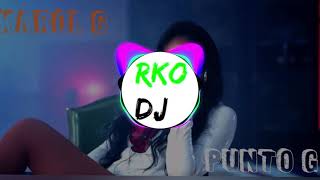 👉👌 Karol G  - Punto G (RKO DJ REMIX)