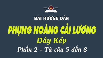 Bài hướng dẫn: PHỤNG HOÀNG CẢI LƯƠNG (2) | Dây Kép | Từ câu 5 đến 8 | Cổ Nhạc Tri Âm
