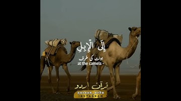 سورة الغاشية: ١٧-١٩|Surah Al Ghashiya: 17-19|Hammadullah Sajid|Quran with Urdu & English translation