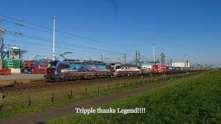 Rotterdam Waalhaven Lte, Rtb, Bls En Sbb Vectron Vectron Xload En Rfo Euro 9000