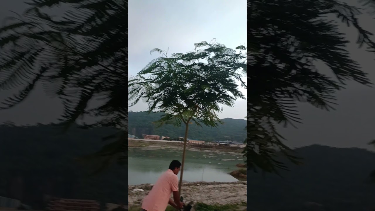 Very Nice Place So Cold 