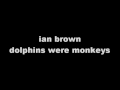 Video Dolphins were monkeys Ian Brown