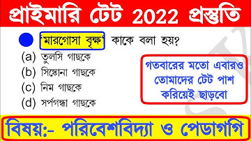 primary tet preparation 2022 | wb primary tet preparation 2022 | primary tet evs class | TET 2022