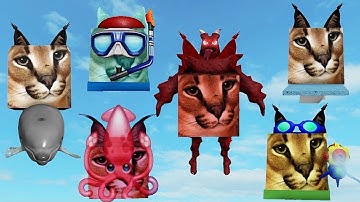 FIND the FLOPPA MORPHS *How to get ALL 6 NEW Floppa Morphs and Badges* WATER PARK MAP! Roblox
