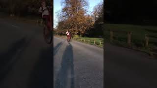 29 Inch Carrera Wheelie