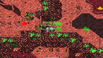 Tibia - Playing at the Hive