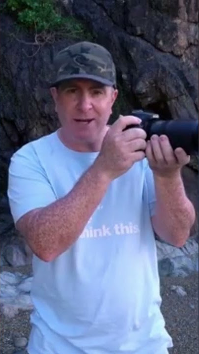 Back Button Focus For Bird Photography Explained