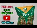 VNR 2111 Hybrid Paddy Seeds | 100-105 Days | Kharif & Rabi Season | Hybrid Seeds
