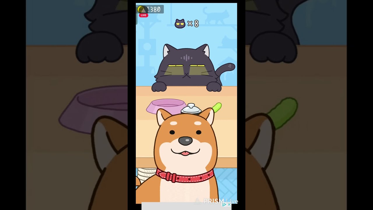 Can You Escape This ? 🤯| Hide And Seek Cat Escape #live day 3