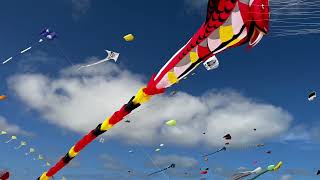 Fuerteventura International Kite Festival Preview 2022