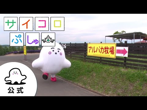シナぷしゅch - YouTube