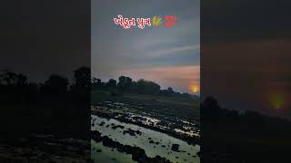 #kheti#khet#farming#farmerlife#indianfarmer#kisan#khetilife#agriculture#desilife#villagevibes#short