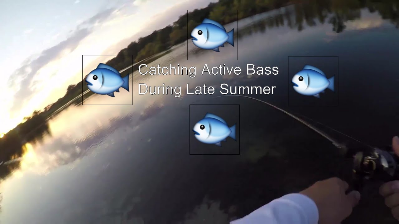 late summer bass slaying via keitech swimbait