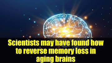 Scientists may have found how to reverse memory loss in aging brains