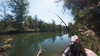 видео: Рыбалка вместо Октоберфеста. Техника подводит - карп и усач никогда. картинка: Рыбалка вместо Октоберфеста. Техника подводит - карп и усач никогда.