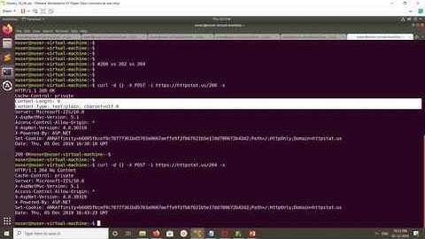HTTP Status Codes 200 vs 202 vs 204 When to Use ?