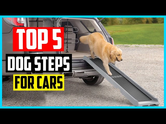 ✓ The 5 Best Dog Steps For Cars Review 2023 - YouTube