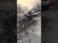 #aseel #aseelchicken #royalaseel #aseelfarming #farmvlog #viralvideo