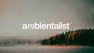 The Ambientalist - Synesthesia