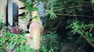 ' LIVE ' Abandoned Resort HORROR