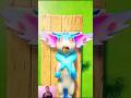 Palmon Survival: Remove the Worm from the Pokemon’s Mouth & Heal Another Pokemon #Viral