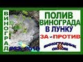 🍇 МНЕ ЗАПРЕТИЛИ поливать виноград в лунку. Что делать? КАК поливать? Диаграмма  пропитывания почвы.