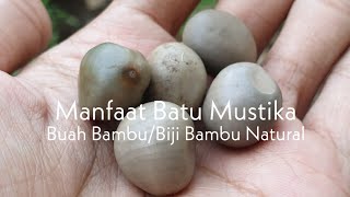 Manfaat Batu Mustika Buah Bambu