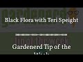 Gardenerd tip of the week  black flora with teri speight