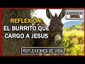 El burrito que cargo a Jesús el hijo de dios - una Reflexión para toda la familia