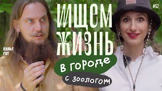 Исследуем природу в городе с зоологом, звездой Tik-Tok Павлом Лисицыным