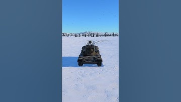 got my hands on gepard 🔥  #warthunder