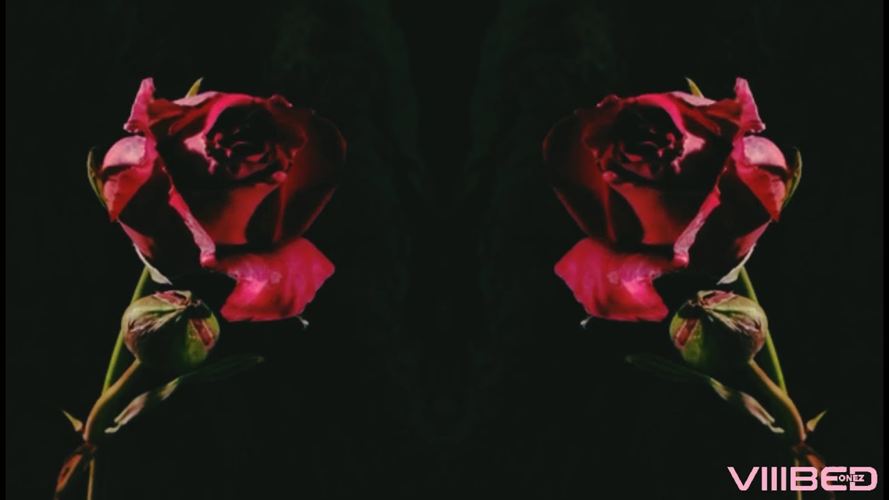 Watch SonnyViiibes - III. Dante & Beatrice (VIDEO) on YouTube