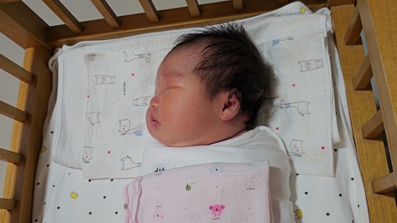 찰떡이 나이13일 영상일기 part 1