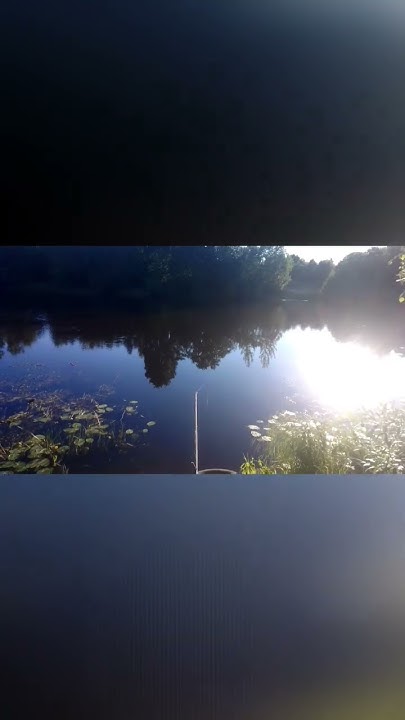 Вечер #лето #fishing #рыбалка #природа река Плюсса 🌊 - YouTube