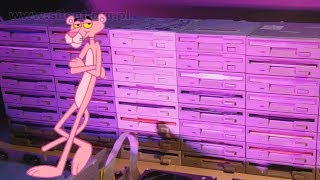 The Pink Panther on FLOPPOTRON chords