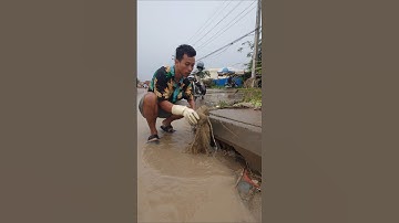 benefits of Cleaning Trash Unclog Culvert Drain #shorts #plastic  #cleaning #flooding  #unclog